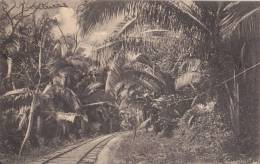 Postcard Trainway1900-1910( Postally Not Used) - Honduras