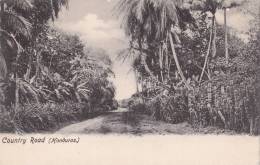 Postcard Country Road 1900-1910( Postally Not Used) - Honduras