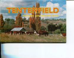 (01) Postcard View Folder - Depliant De Carte Postale - NSW - Tenterfield - Otros & Sin Clasificación