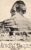 Sphinx 1900 Mailed To USA - Sfinge