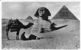 Sphinx Old Postcard Mailed To USA - Sphinx