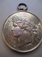 Société Nationale De Tir Des Communes De France /Médaille D´honneur/RF/vers 1885    D161 - Firma's