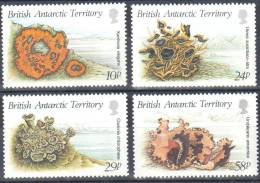 BAT British Antarctic Territory 1989 Plants - Mi.152-55-  MNH - Unused Stamps