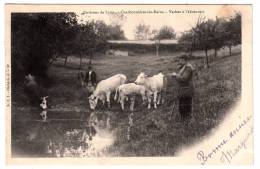 69 - Charbonnières Les Bains - Vaches à L'abreuvoir - Editeur: S.C.I N° 52 - Charbonniere Les Bains