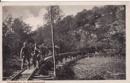 Carte Postale Militaire Allemand-Föderbahn Im Argonnenwald-Train-Wagon-Guerre 1914-1918-VOIR 2 SCANS- - Equipment