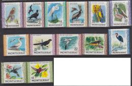 MONTSERRAT 1970 Bird Definitive SG 243/54 HM XZ521 - Montserrat