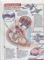 Page Coop Theme Respiration Du Bebe - Altri & Non Classificati