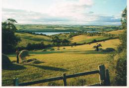 Haymaking In WEST CORK - TBE, Carte Neuve - - Cork