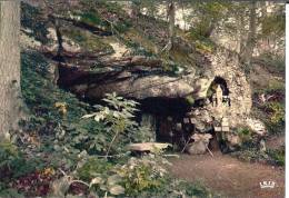 88 - Vosges - DARNEY - La Grotte De La Vierge  - Format 10,4 X 15 - Darney