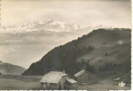 FRA405 - Taninges - Le Praz De Lys - Panorama Sur La Chaine Du Mont Blanc - Taninges