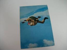 Paracadutista In Volo - Parachutting