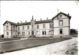 88 - Vosges - CHATEL-sur-Moselle - L'Hospice - Dentelée - Format 10,5 X 14,8 - Chatel Sur Moselle