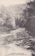 Maryland Frostburg Savage River Trout Stream Albertype - Sonstige & Ohne Zuordnung