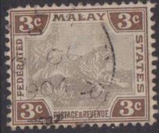 FMS 1904 3c Tiger SG 32 U XY014 - Federated Malay States