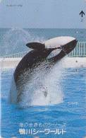 Télécarte Japon / 110-94441 - ANIMAL - BALEINE ORQUE - ORCA WHALE Japan Phonecard  - WAL Telefonkarte - 246 - Delfines