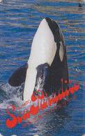 Télécarte Japon / 290-3906 - BALEINE ORQUE - ORCA WHALE Japan Phonecard  - WAL Telefonkarte - 248 - Delfines