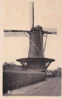 Hamont, Molen Van Bree - Hamont-Achel