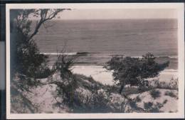 Sarbinowo (Powiat Koszaliński) - Ostseebad Sorenbohm - In Den Dünen - Pommern