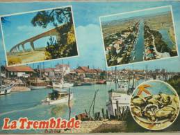 17 - LA TREMBLADE - Pont Sur La Seudre - Le Canal (les Cabanes Ostréicoles...) Multivues - La Tremblade