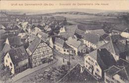 CPA  68 - Souvenir De DANNEMARIE - Grub Aus Dammerkirch - Dannemarie