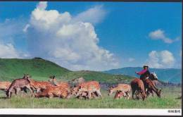 China - Tibetan Herd And Deers, Werstern Sichuan - Tíbet