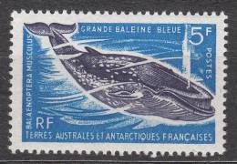 France Colonies, TAAF 1966 Mi#36 Mint Never Hinged - Unused Stamps