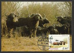 Mozambique Buffle Carte Maximum 1981 Buffalo Maxicard Moçambique - Gibier