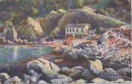 CHARLES FLOWER - TUCKS SERIES 7966 - ANSTEY'S COVE - Torquay