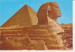 (EG45) SIZA. THE GREAT SPHINX AND KEOPS PYRAMID - Guiza