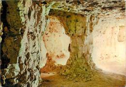 CPSM Grottes Historiques De Naours   L1216 - Naours