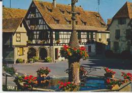 Fontaine Fleurie à Dambach La Ville - Dambach-la-ville