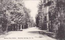 West Virginia Berkeley Spruce Pine Hollow Albertype - Andere & Zonder Classificatie