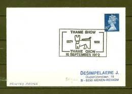 ENGELAND, 16/09/1982 Thame Show  (GA8898) - Vaches