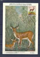 ANGOLA, Postkaart Koninklijk Natuurhistorisch Museum Van Belgie (GA8922) - Game