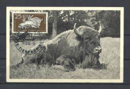 DUITSLAND, 14/12/1956 Tierpark - BERLIN  (GA8925) - Animalez De Caza