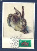 DUITSLAND, 30/11/1959 Schutzt Die Natur - BERLIN  (GA8926) - Rabbits