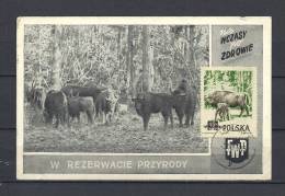 POLSKA, 31/01/1957 Rezerwacie Przyrody - LUEIIN  (GA9033) - Gibier