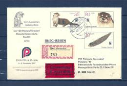 DUITSLAND, 02/11/1987 Vom Austterben - WERMSDORF  (GA9035) - Animalez De Caza