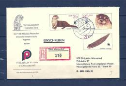 DUITSLAND, 02/11/1987 Vom Austterben - WERMSDORF  (GA9036) - Gibier