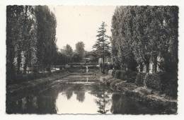 Carrières-sur-Seine (78) : La Pièce D'eau Ou Le Canal Vue Du Parc En 1959. - Carrières-sur-Seine