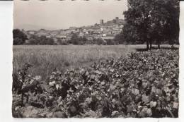 BR53579 Cogolin Et Ses Vignobles    2 Scans - Cogolin