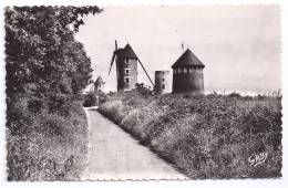 CPSM Photo Mouilleron En Pareds Vendée 85 Propriété Du Maréchal De Lattre De Tassigny Moulin édit Gaby N°17 écrite - Mouilleron En Pareds