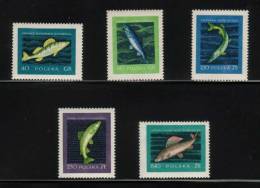 POLAND 1958 RARE SPECIES OF FRESHWATER FISH NHM - Unused Stamps