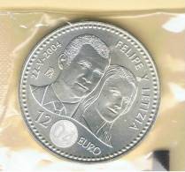 ESPAÑA - 12 EUROS  2004 - PLATA - Altri & Non Classificati