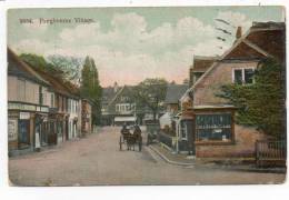23632  -   Pangbourne  Village  -attelage  - - Other & Unclassified