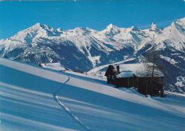 HEUTE NENDAZ   CHALETS AUX RAERETTES - Nendaz