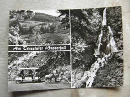 Am Trusetaler Wasserfall - Ane Donkey Esel   D97216 - Bad Liebenstein