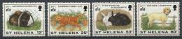 104 SAINTE HELENE 1994 - Chat Lapin Labrador Cochon D Inde - Neuf Sans Charniere (Yvert 615/18) - St. Helena