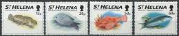 104 SAINTE HELENE 1994 - Poisson - Neuf Sans Charniere (Yvert 619/22) - Sint-Helena