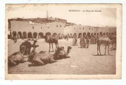 CPA - Algérie - Ghardaia : Place Du Marché : Maisons, Chameaux - Carte écrite Et Signée Jean Mélia ( écrivain ) - Ghardaia